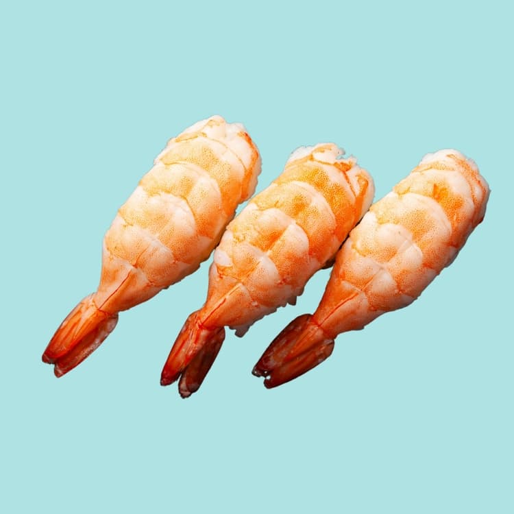 Nigiri Prawn