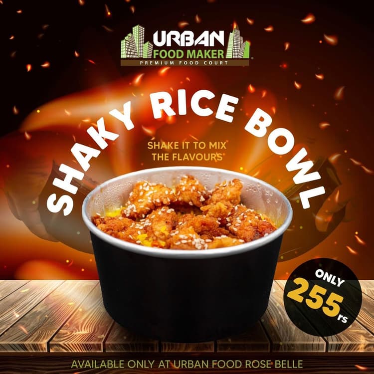 SHAKY RICE BOWL