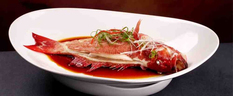 Steamed Red Grouper