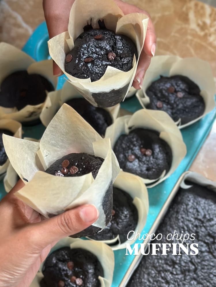 CHOCO-CHIP MUFFIN