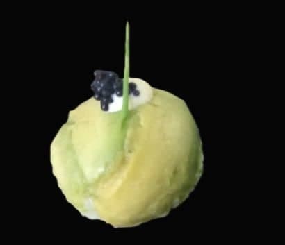 Sushi Balls - Avocado ( 4 pieces)